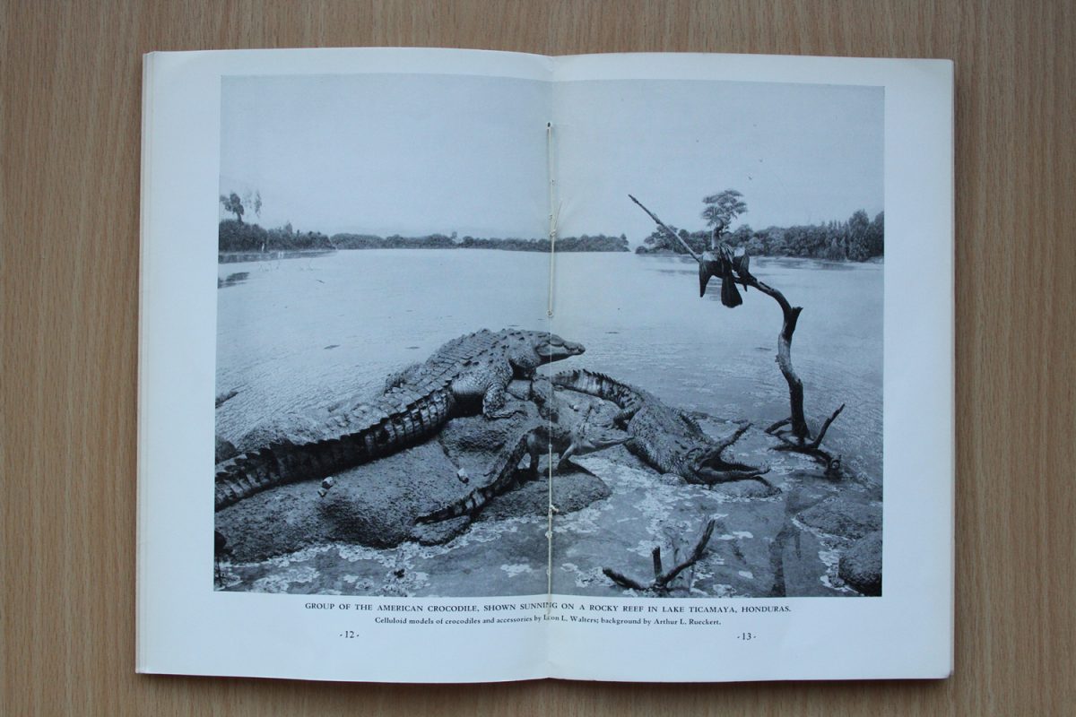 photo of book, image in book of is lake.