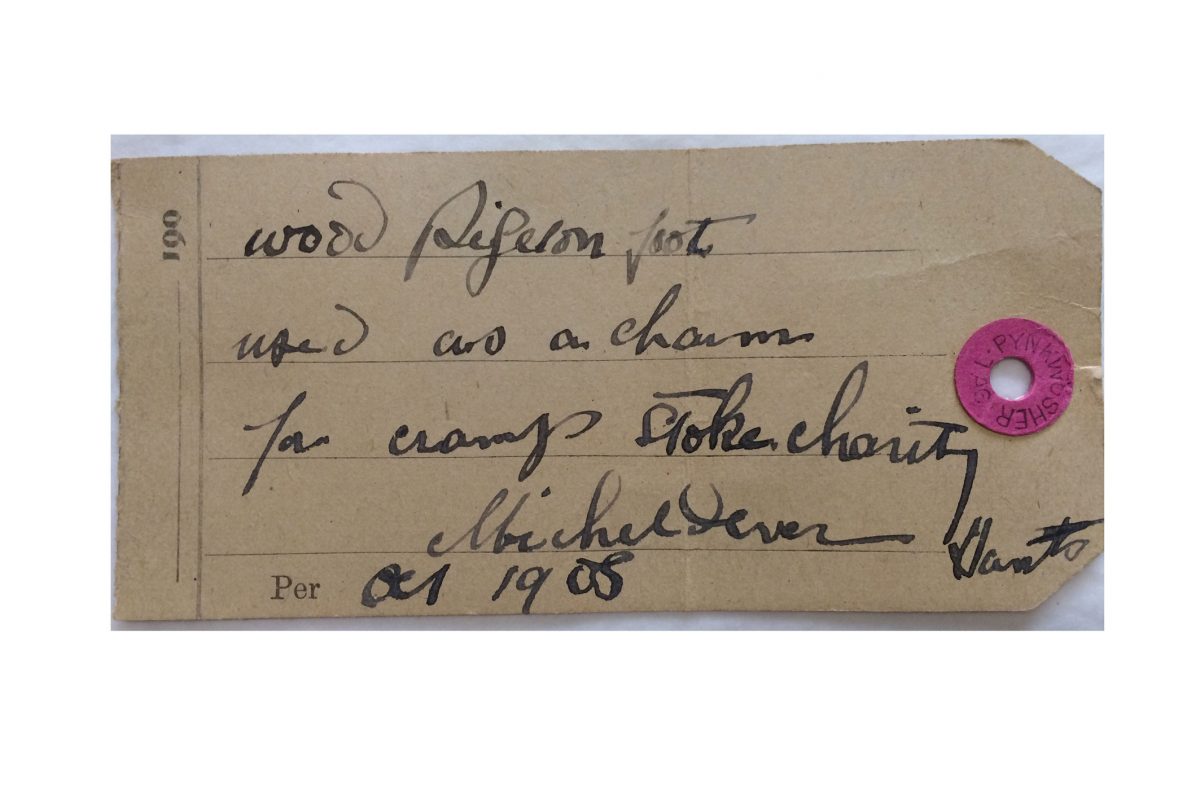 A label from the collections with a handwritten text about a wood pigeons foot