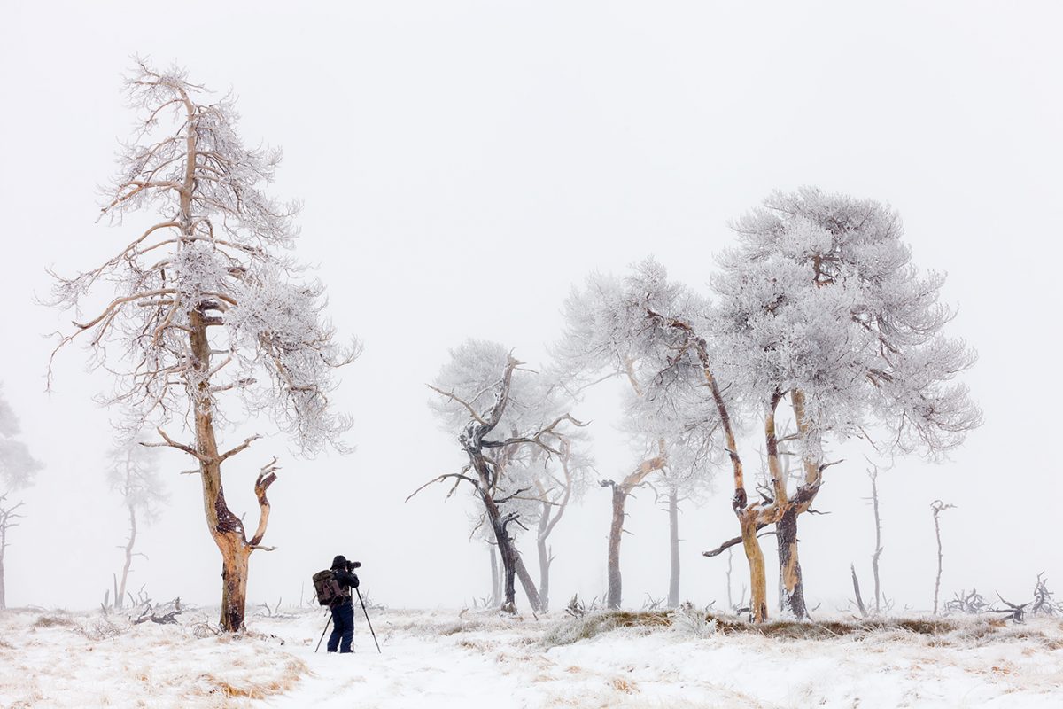 photo of man taking photograph next to trees.