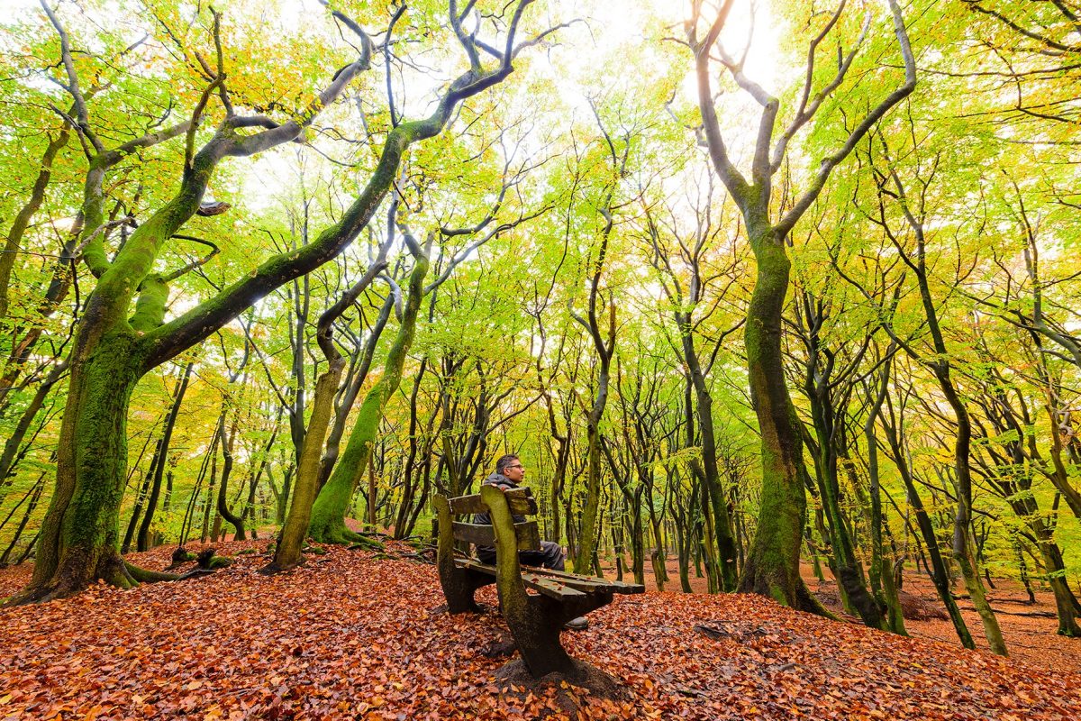 Andrew in a green dappled forest