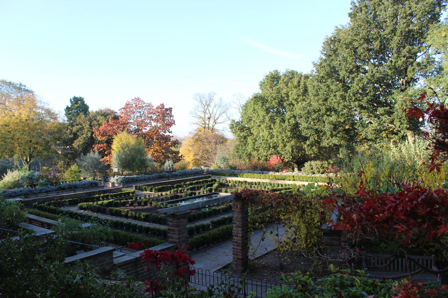 Gardens hidden in shade.