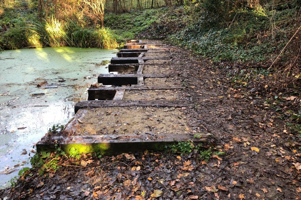 Walkway with no railing next to pond.