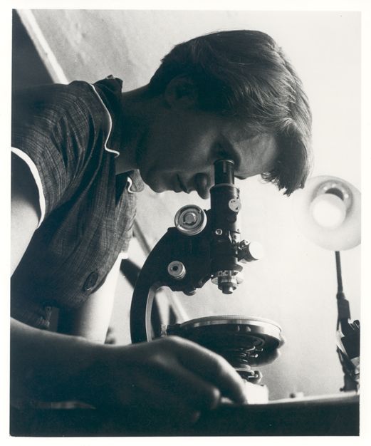 Woman sitting at desk looking through microscope