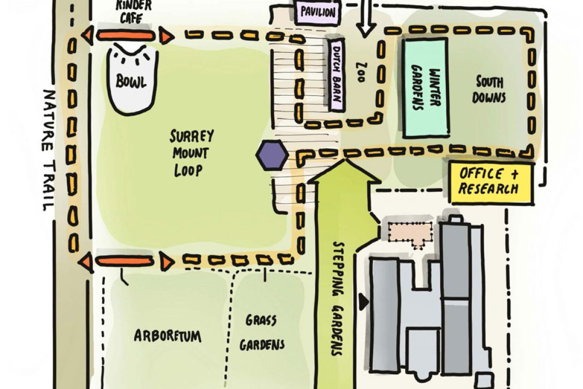 A drawing of a new floorplan of the Horniman