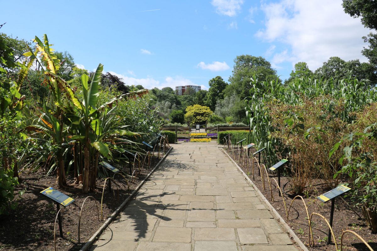 a path through the materials garden