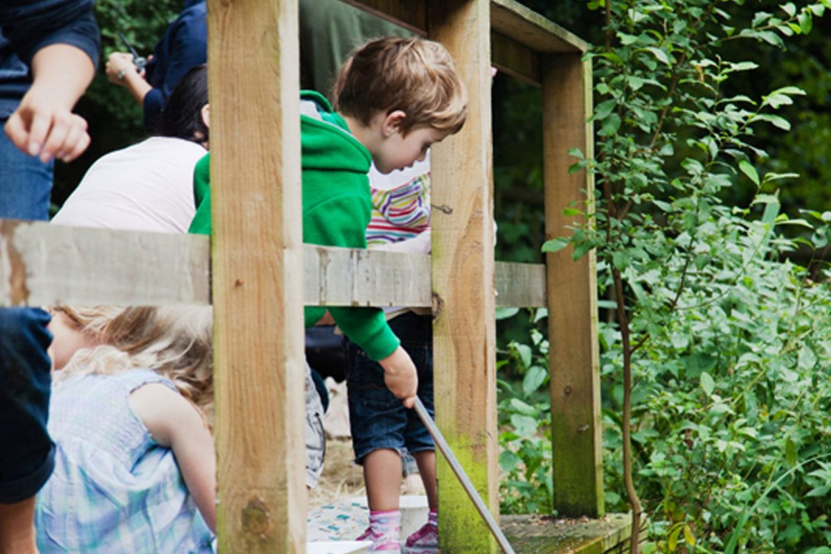 A group of children pond dipping