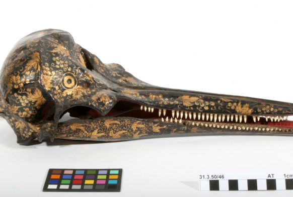 Japanese Lacquer Dolphin Skull