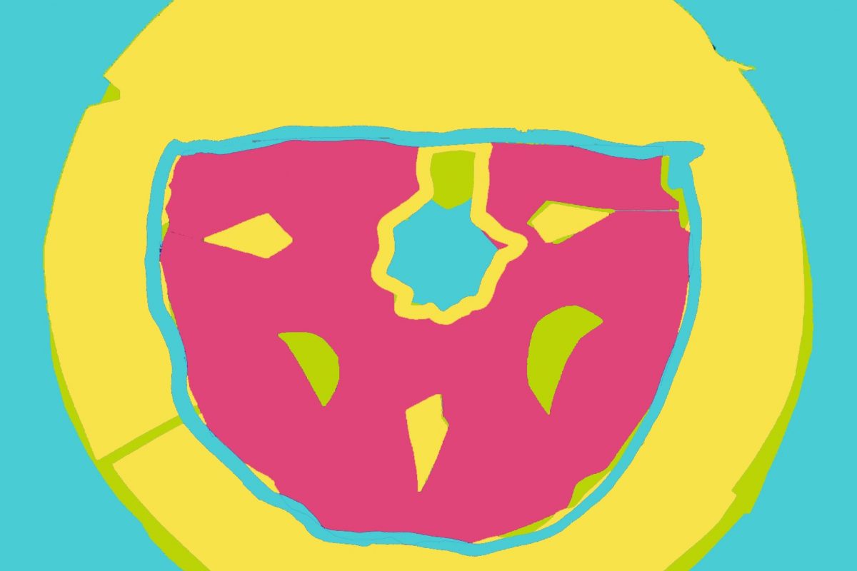 An artists impression of a shield made of a yellow circle on blue with a hole in the middle and a pink area in half a donut shape