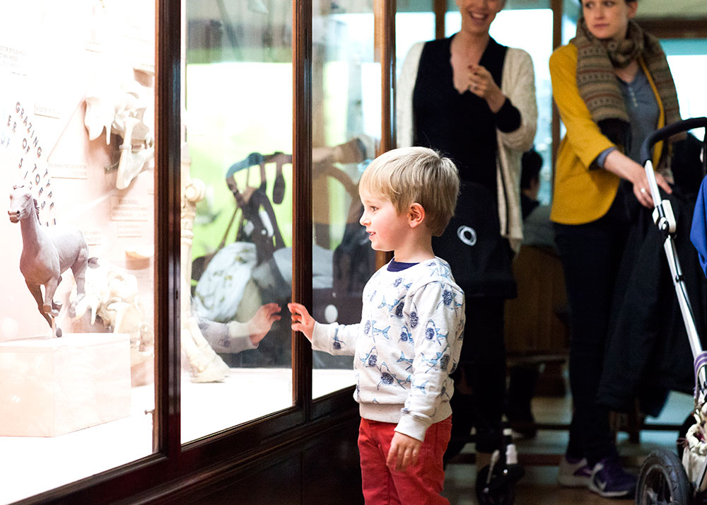 A small boy looks through glass into a cabinet with a horse model inside. Two adults stand behind him - both are women, one is pushing a push chair and the other is pointing at the child