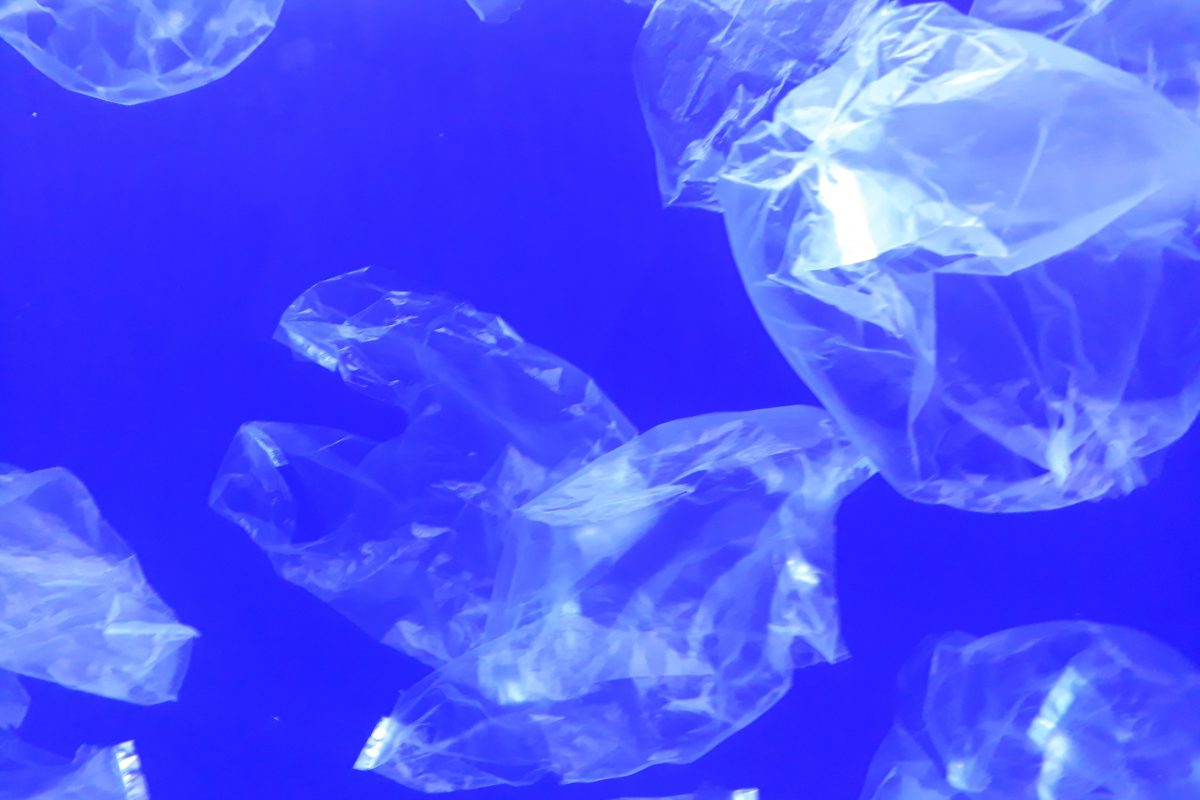 Plastic bags in tank, appearing to look like jellyfish