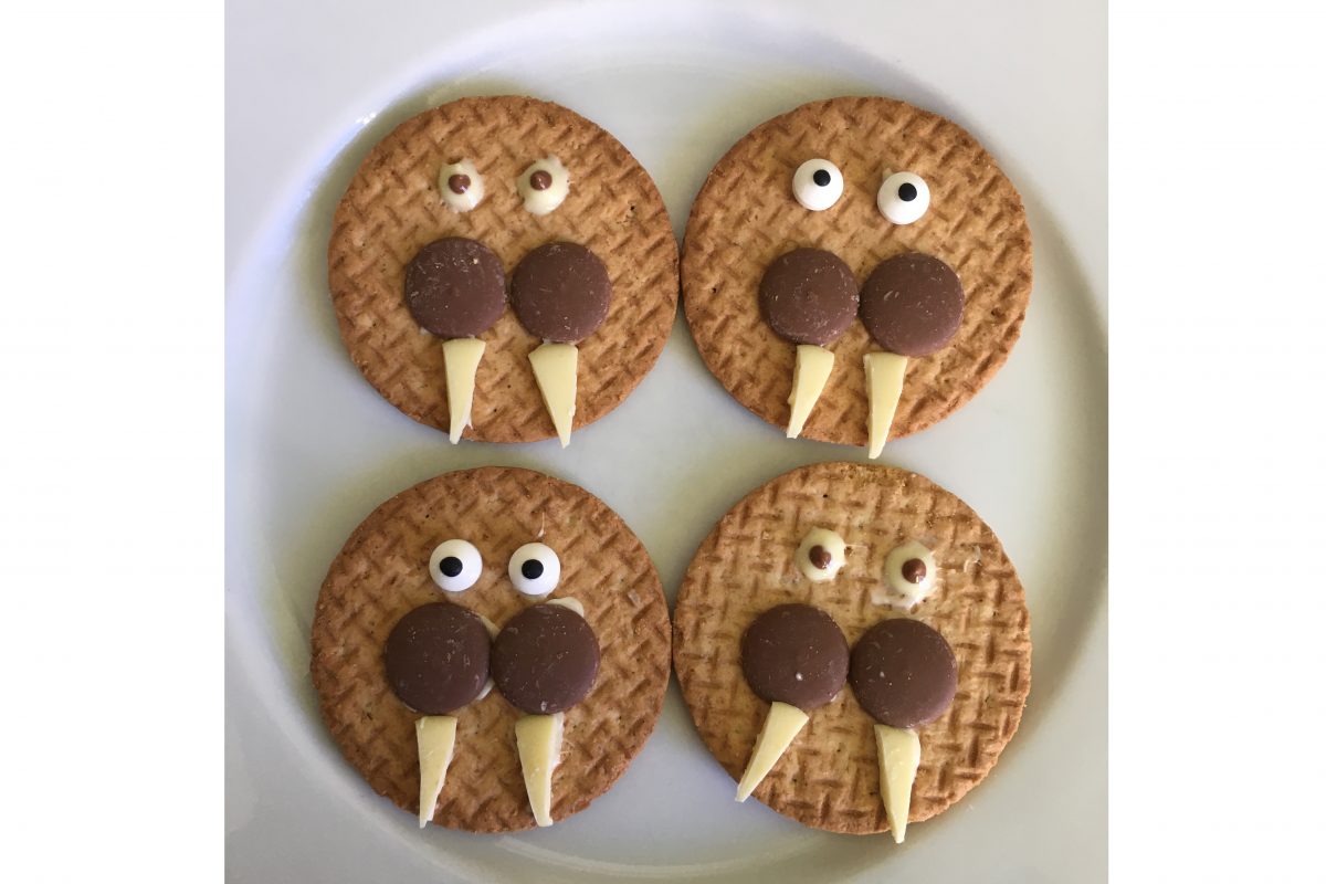 Four digestive biscuits on a white plate. The biscuits have white shards of choclate and eyes as well as two chocolate buttons to make them look like an animal face.