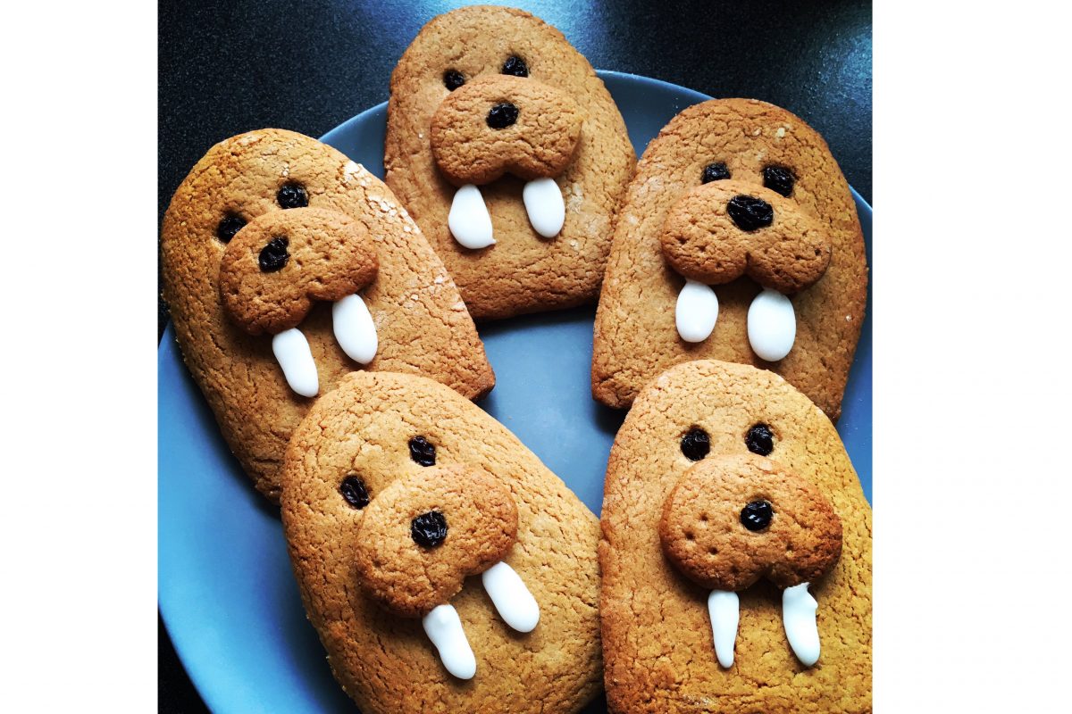 Brown biscuits in shape of animal with white tusks on a plate.