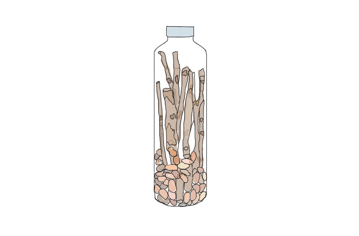 Illustration of sticks and seeds in a bottle