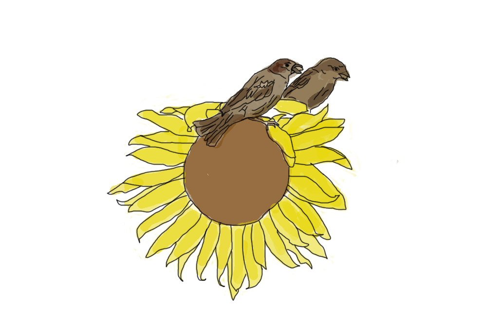 Illustration of two birds on yellow flowerhead