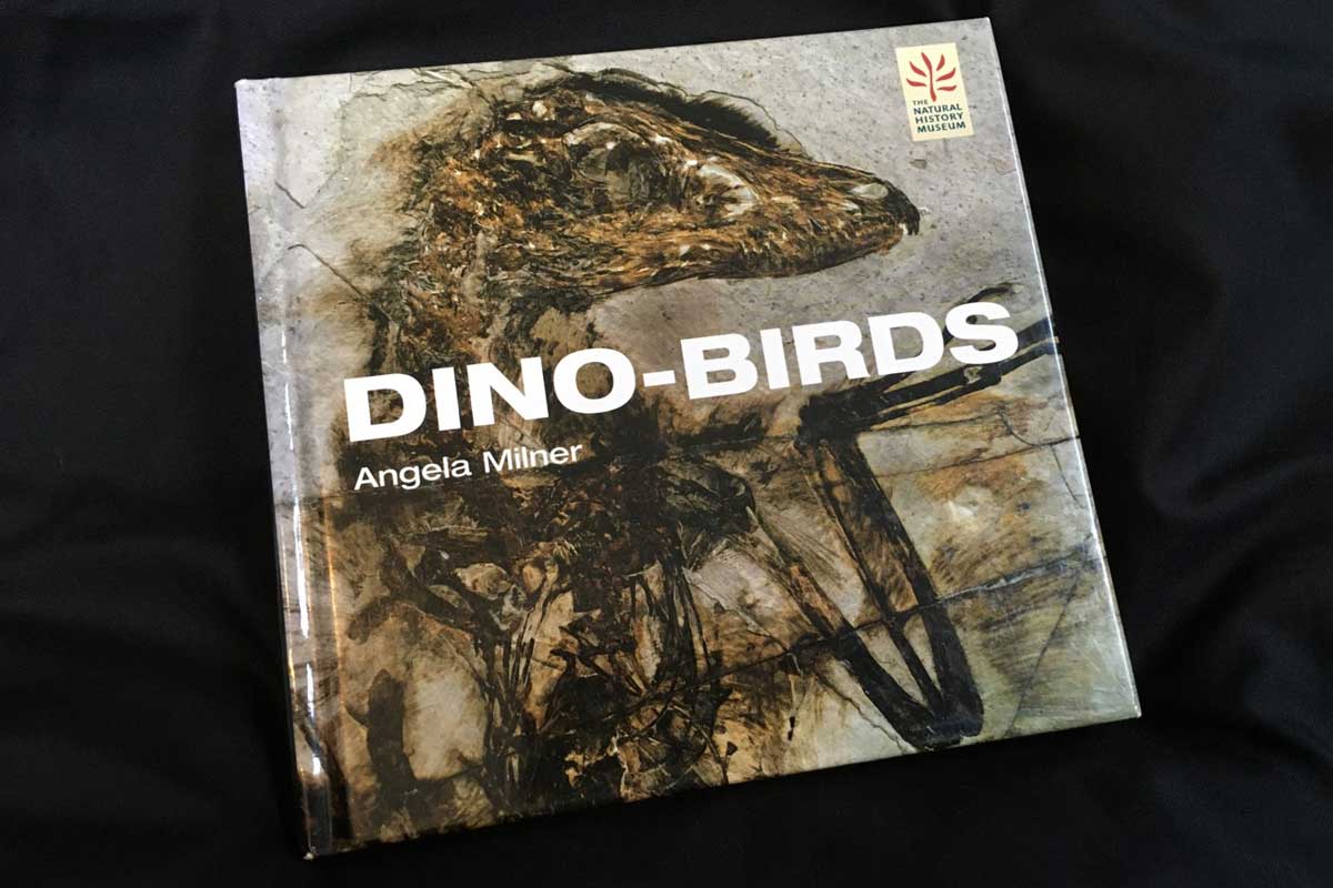 Image shows the cover of the Natural History Museum's Dino-Birds book by Angela Milner