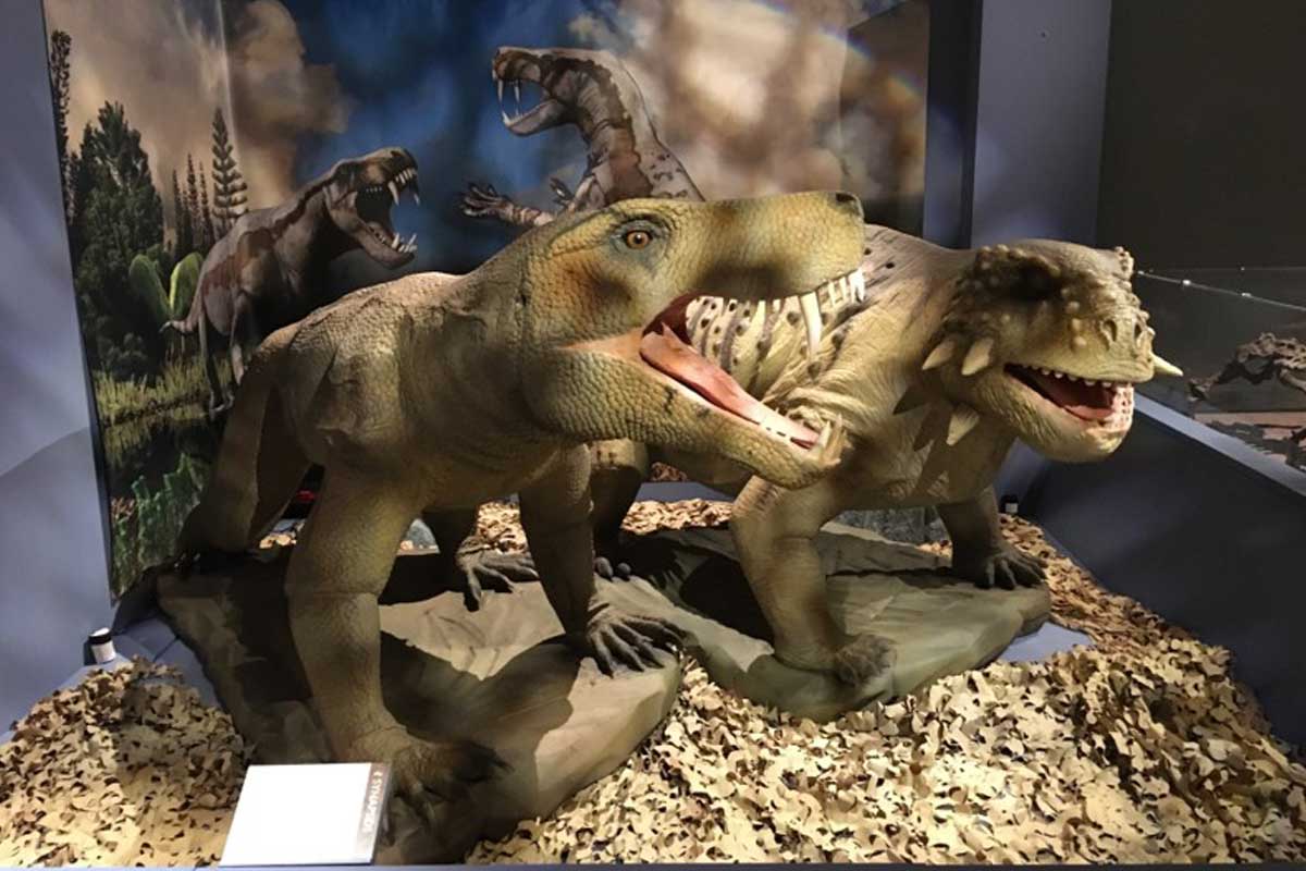 Two of the models from the Permian Monsters exhibition