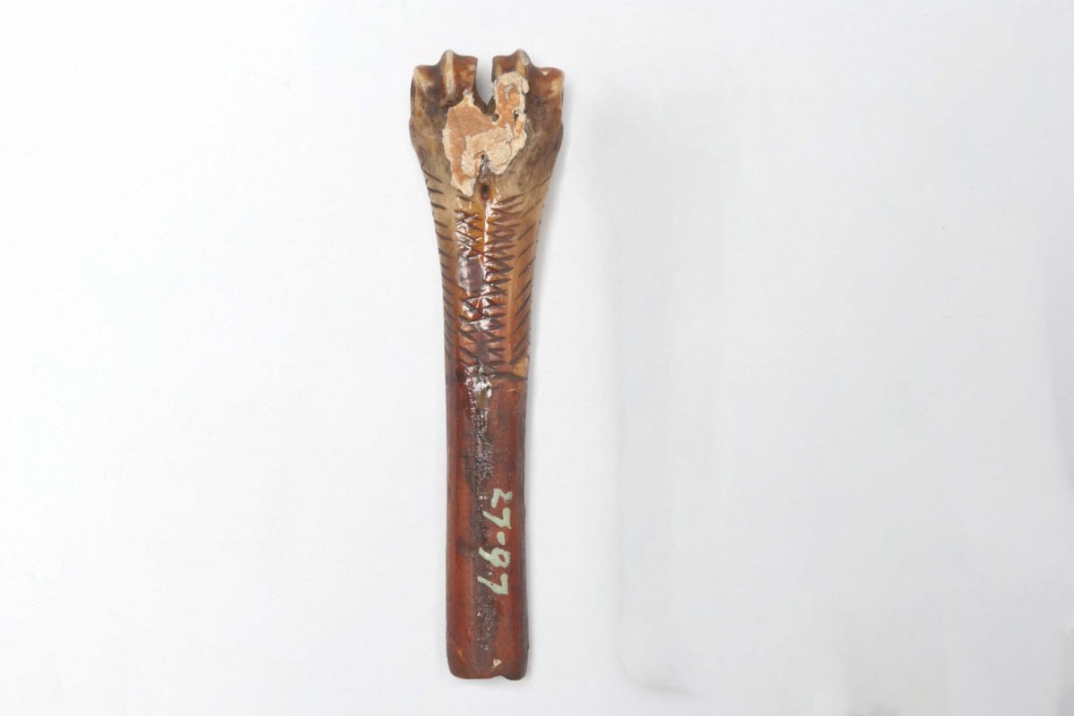 Scooping stick carved from bone and decorated