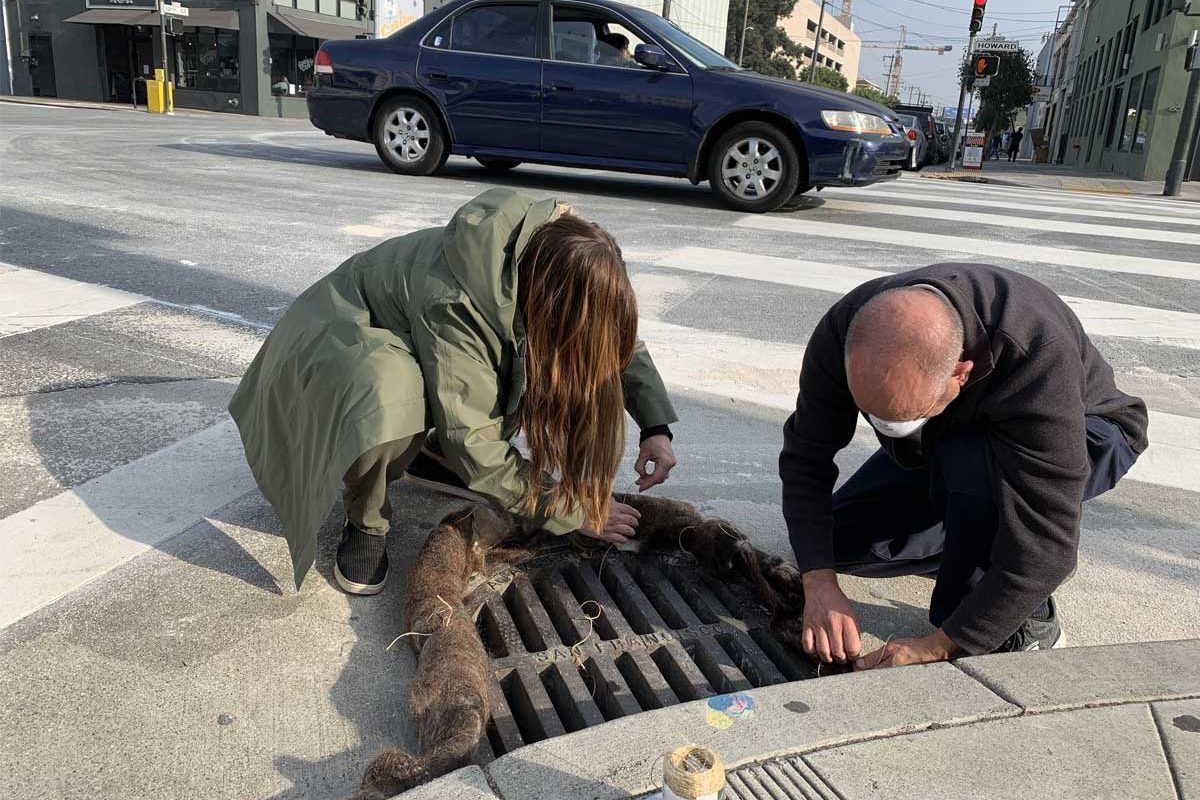 Two people fit a hair mat around a drain