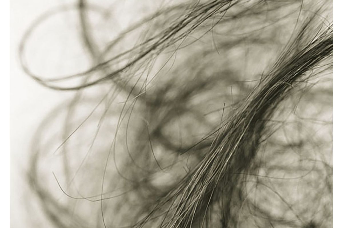 Close up photo of a pile of hair