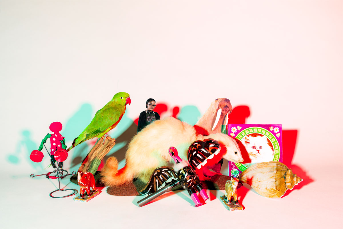 Taxidermy ferret, a shell, the Horniman Walrus, a green parrot and a woman, all shot to look the same size