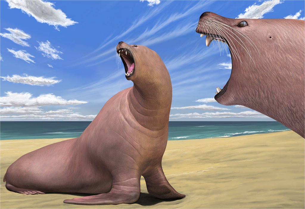 A digital recreation of what an ancient walrus might have looked like. The walrus sits on a beach and bears its teeth with out tusks. Another walrus head with bared teeth dominates the front right of the image.