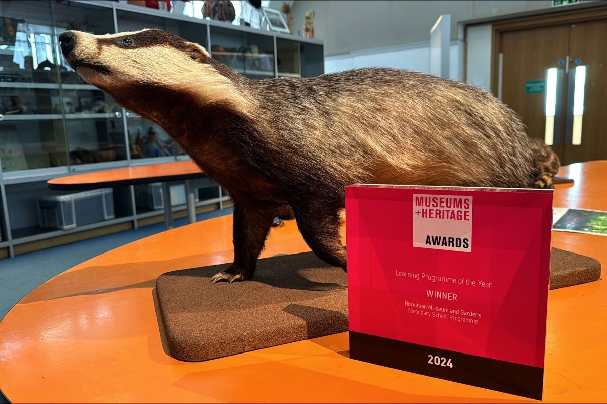 The Award in the Horniman's Hands on Base with a badger