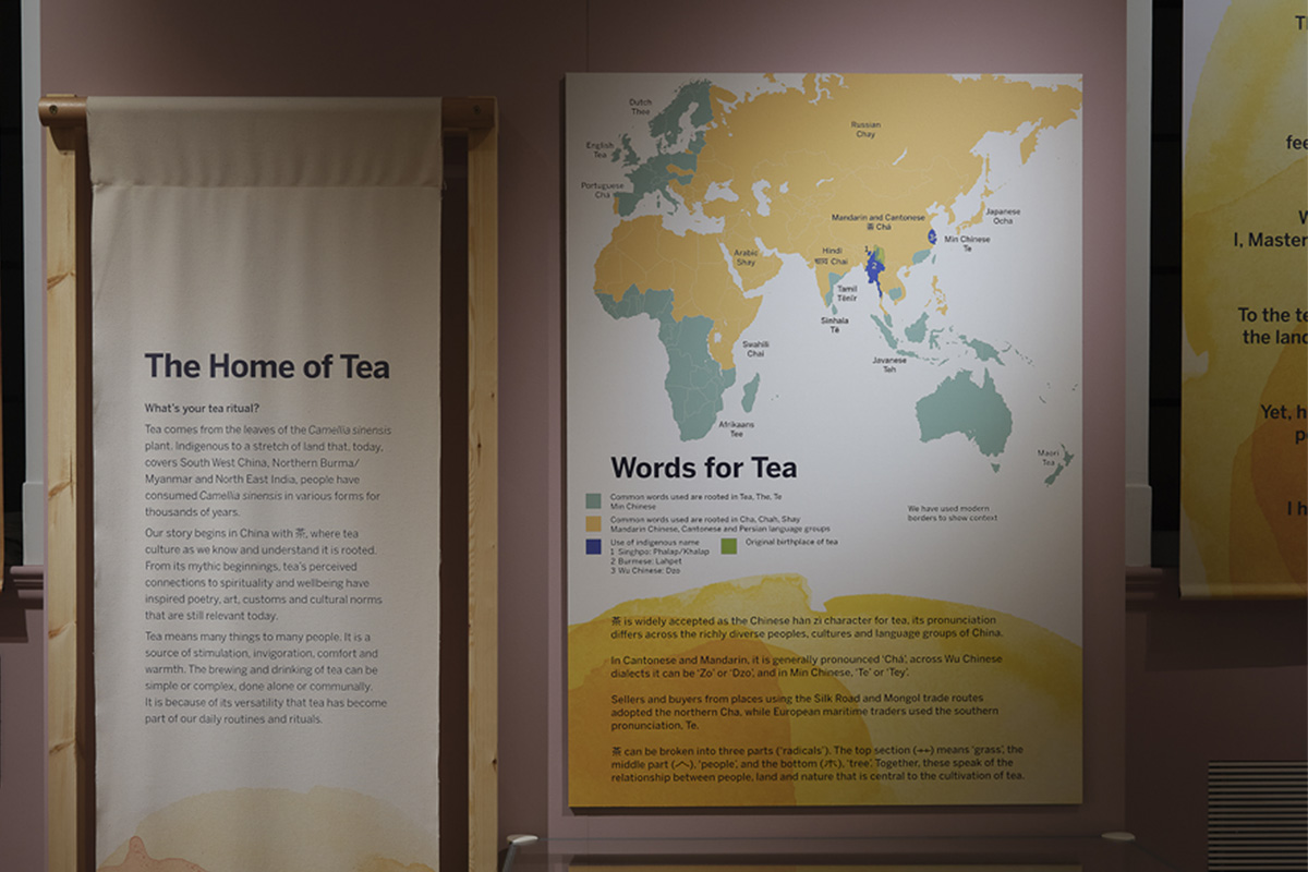 Map of Asia and Africa with different names for tea used in different countries marked in place