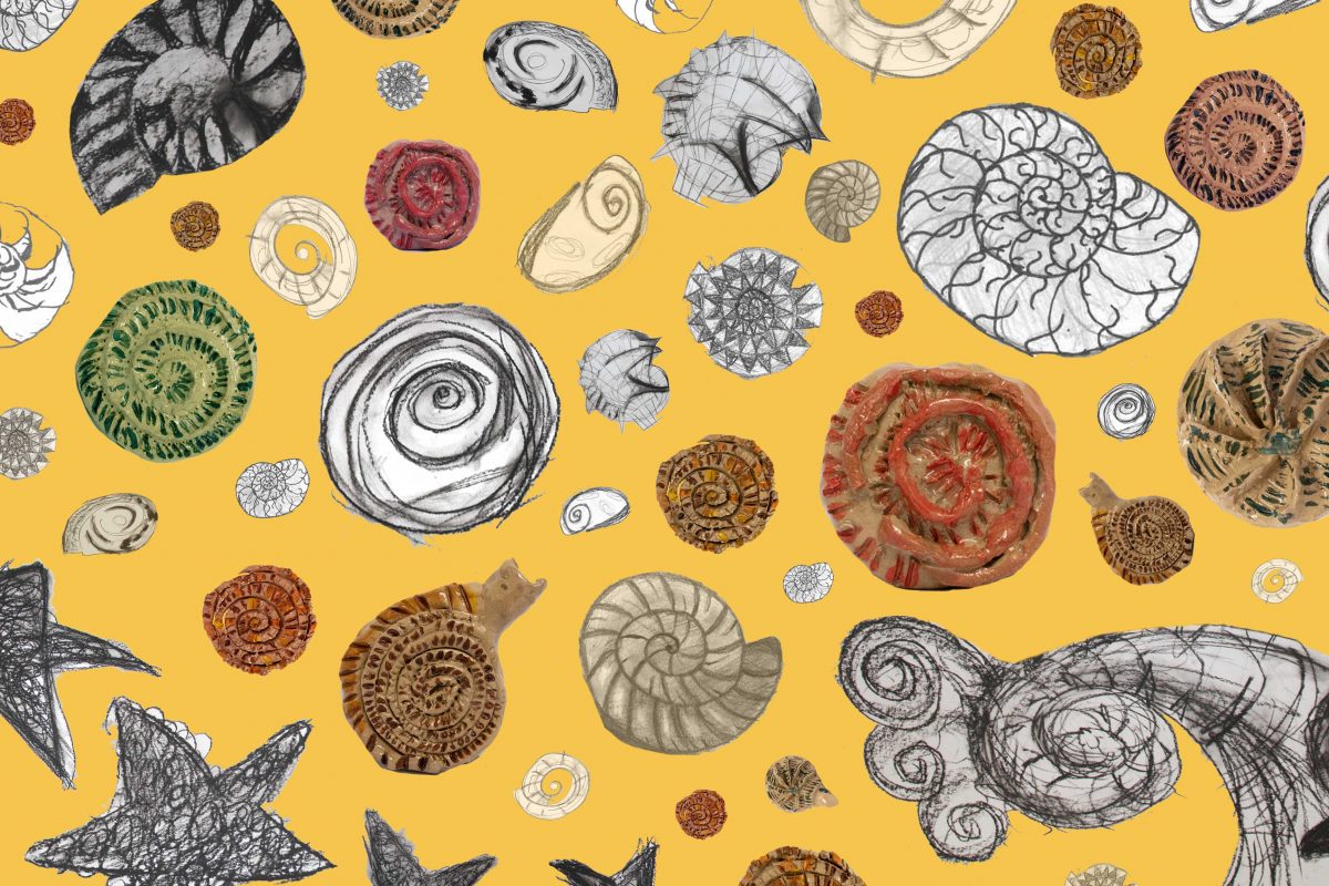 Illustrations of ammonites