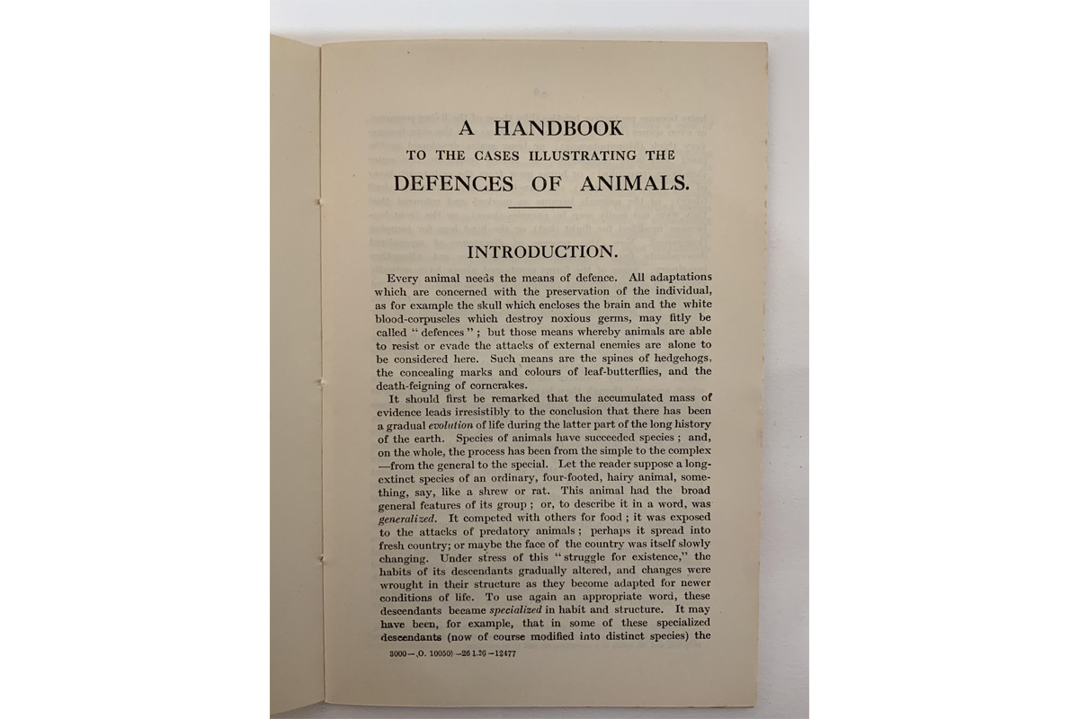 First page of a book with page title reading 'a handbook to the cases illustrating the defences of animals'