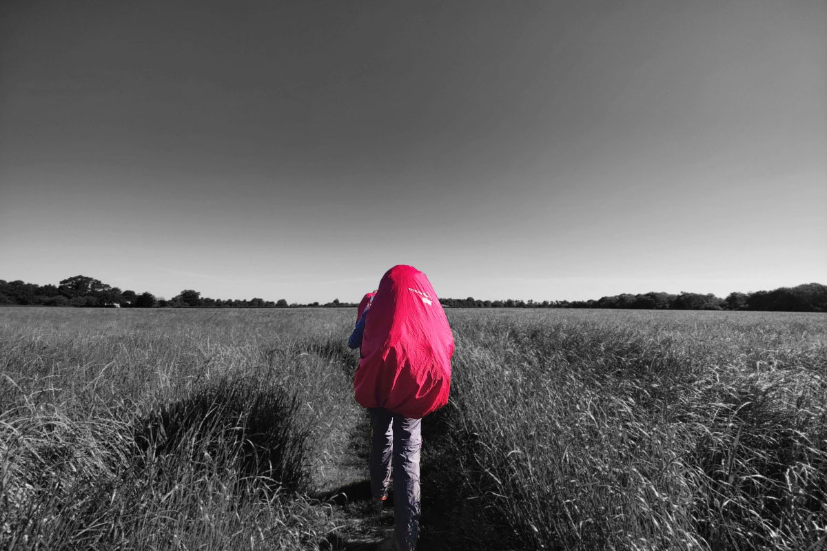 Children walk in a line on a path in a field with high grass, carrying large red backpacks. They are in colour and their surroundings are in black and white.